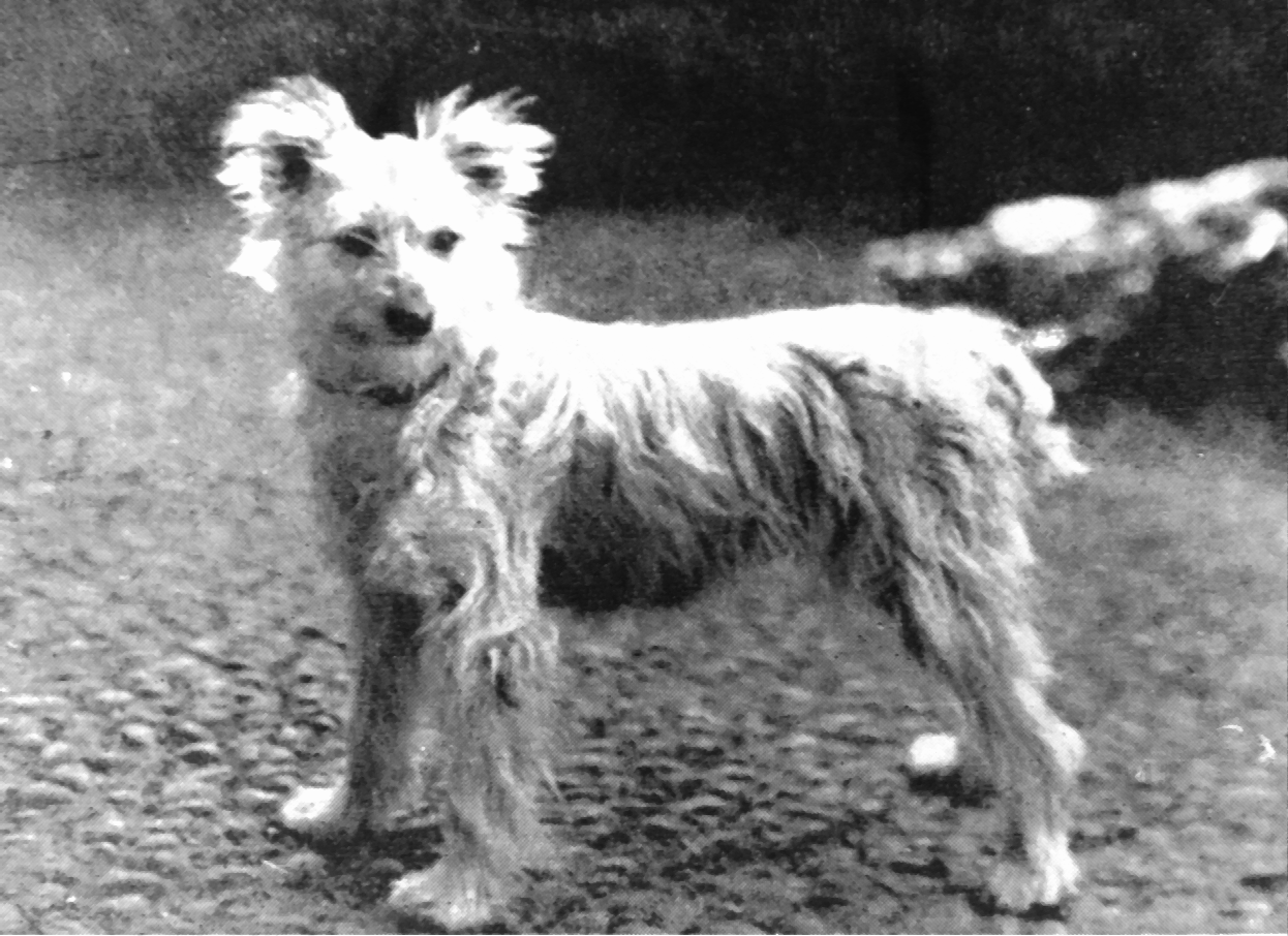 Berrouyette de Lucvielle